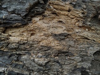 Memory of Wood Cracks and Eternal Grain