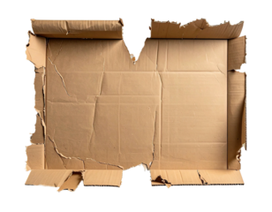 Empty, torn cardboard box
