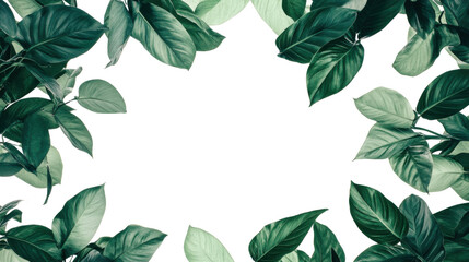 This natural green laurel wreath and leaf frame with a floral pattern is a fresh border illustration for spring or summer design