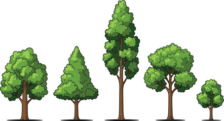 Cartoon tree illustration set, diverse tree shapes, playful nature design, vector foliage art, kids educational concept, forest elements, white background