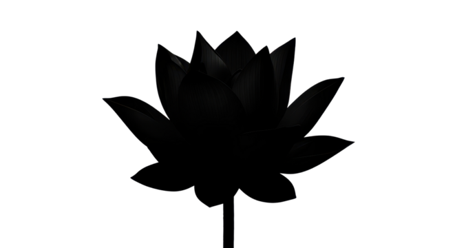 Elegant Silhouette of a Lotus Flower isolated PNG with Transparent Background