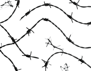 Abstract pattern of black barbed wire