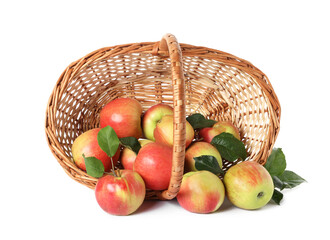 Overturned wicker basket with fresh ripe apples and green leaves isolated on white