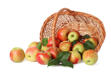Overturned wicker basket with fresh ripe apples and green leaves isolated on white