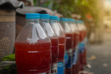  Close-up of Photosynthetic Bacteria: PSB packed in clear plastic bottles