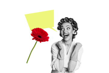 Composite photo collage of excited girl receive march holiday present bubble wear bathrobe curlers hairdo isolated on painted background