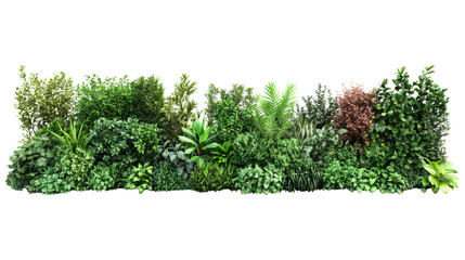 Lush Green Hedge: A vibrant, dense hedge comprised of various plant species, showcasing a rich tapestry of greens and textures, perfect for adding natural beauty to design.