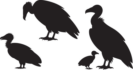Vulture Bird Silhouettes Vector Set Black White Avian Illustration