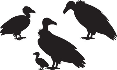 Black silhouettes of vultures set, large predatory birds family, adults and young collection