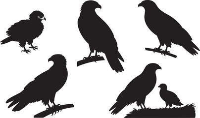 Eagle bird silhouettes set mighty raptor predators black isolated on transparent background