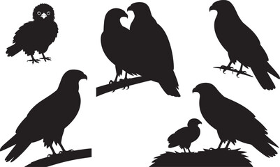 Eagle Hawk Falcon Bird of Prey Silhouettes Set Nesting Family