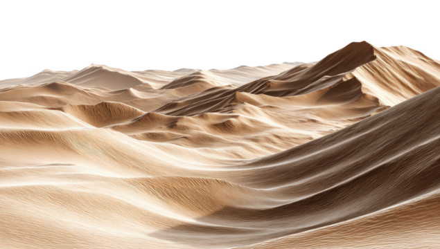 Vast desert dunes stretch to the horizon