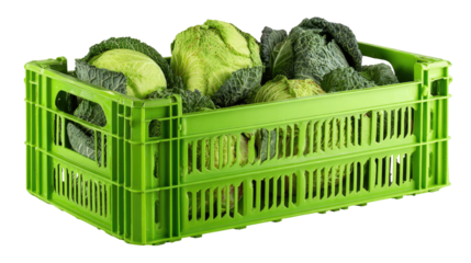 Green plastic crate filled with cabbages