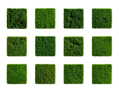 Grid of square mossy patches