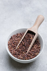 Bowl filled with various lentils and a wooden scoop resting inside, showcasing the rich textures and colors of legumes, ideal for culinary and health-related concepts