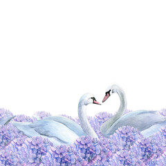 Seamless border with swans and purple hydrangea. Watercolor illustration of floating white birds in summer flowers on a white background. Good for postcards, recipes, menu, invitations, greeting cards
