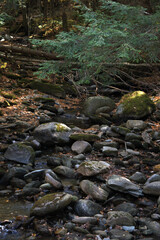 Vermont mountain stream in the fall