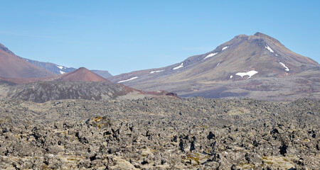 Berserkjahraun lava field on a sunny day, Snaefellsnes Peninsula, Iceland