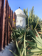 Tropical garden