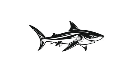 Fototapeta premium Black and white shark illustration on white background