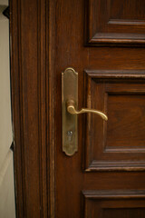 Here is a detailed closeup view of a beautiful wooden door featuring a shiny brass handle for an aesthetic look