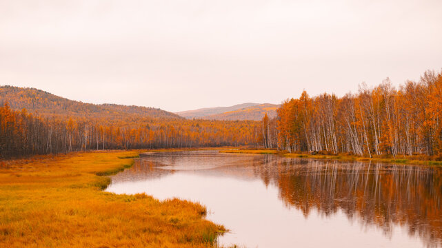 autumn landscape with lake and trees
