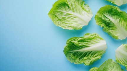 Fresh romaine lettuce leaves arranged on a blue background- highlighting vibrant green color and crisp texture.