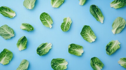 Fresh romaine lettuce leaves arranged on a blue background- highlighting vibrant green color and crisp texture.