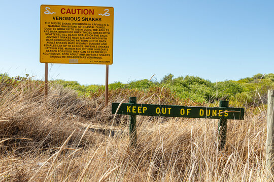 Warning sign of venomous dugite snakes at Swanbourne Beach near Perth in the SW Region of Western Australia WA