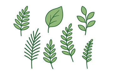 Assortment of various green botanical leaves and sprigs in simple outline style