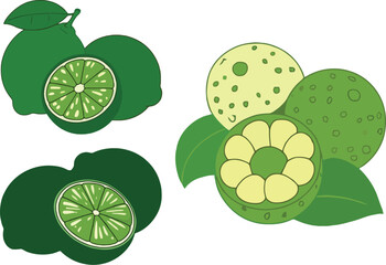Four groupings of green citrus fruits with leaves and cut fruit halves