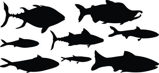 Set of black fish silhouettes isolated on white background, various aquatic species, marine animal icons for design and decoration