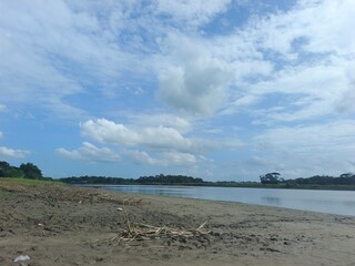 The Beautiful Blue Sky With White Clouds Above The Green Paddy Fields And Trees
utty