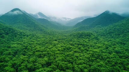 Fototapeta premium Abstract aerial shot of fog weaving through forested hills, nature flow design