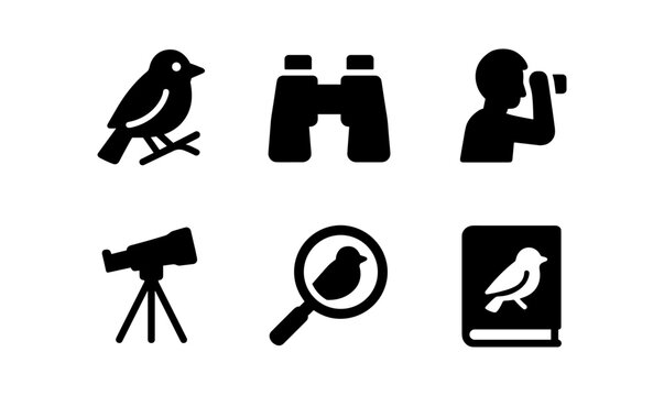 Bird watching essentials: silhouettes of tools and symbols for bird enthusiasts