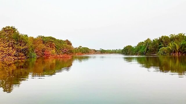 Small river through green trees