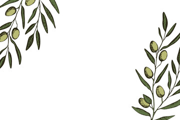 Botanic background with olive branch sketch. Ink hand drawn olives set. Botanic plant vector illustration. A sprig of an olive tree with leaves. Food concept. Wallpaper with greenery olive tree.
