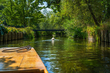 A magestic swan glides under a footbridge with a sign post to tourist locations. The swan is causing ripples in the River Stour, as a punt approaches the bird. 