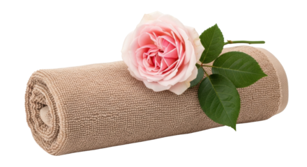 Isolated rolled towel with rose blossom atop offers spa style elegance for relaxation theme