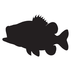 sea bass fish vector silhouette