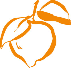 Fall themed illustration. Seasonal ink hand drawn doodle icon, logo.  Fruit 