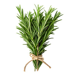 Obraz premium Fresh rosemary herb tied with twine, isolated on transparent background