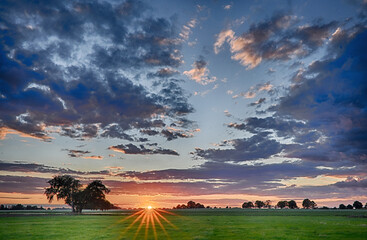 Sonnenuntergang im Herbst auf einer Wiese 