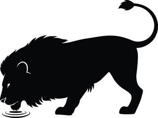 Majestic black silhouette of a powerful male lion drinking water from a shallow pool in a stark graphic illustration silhouette