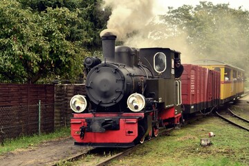 steam train in the forest