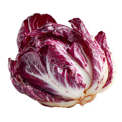 Obraz premium Radicchio fresh garden leaves healthy taste