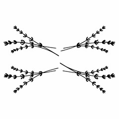 Four minimalist black line art sprigs of lavender on a white background