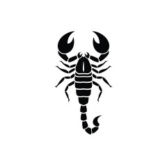 Black Silhouette of Scorpion Facing Upwards insect