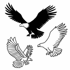 Three eagles in flight one solid black and two line art illustrations