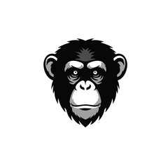 Chimpanzee head logo on white background Keywords: chimpanzee, monkey, ape, primate, animal